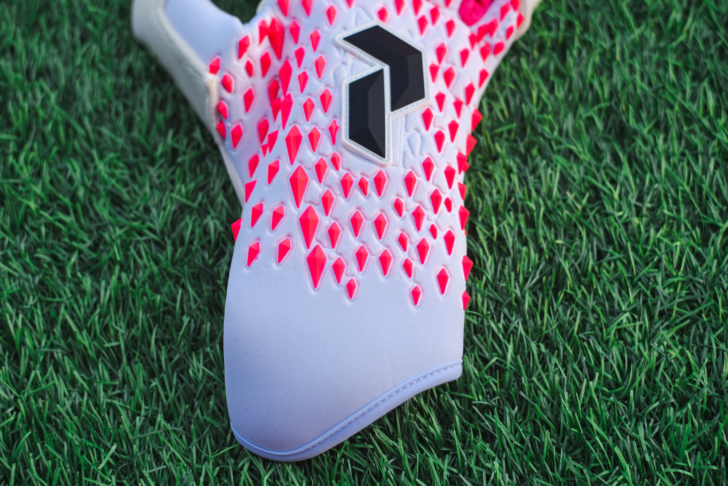 Peak Performance Raptor Goalkeeper Gloves