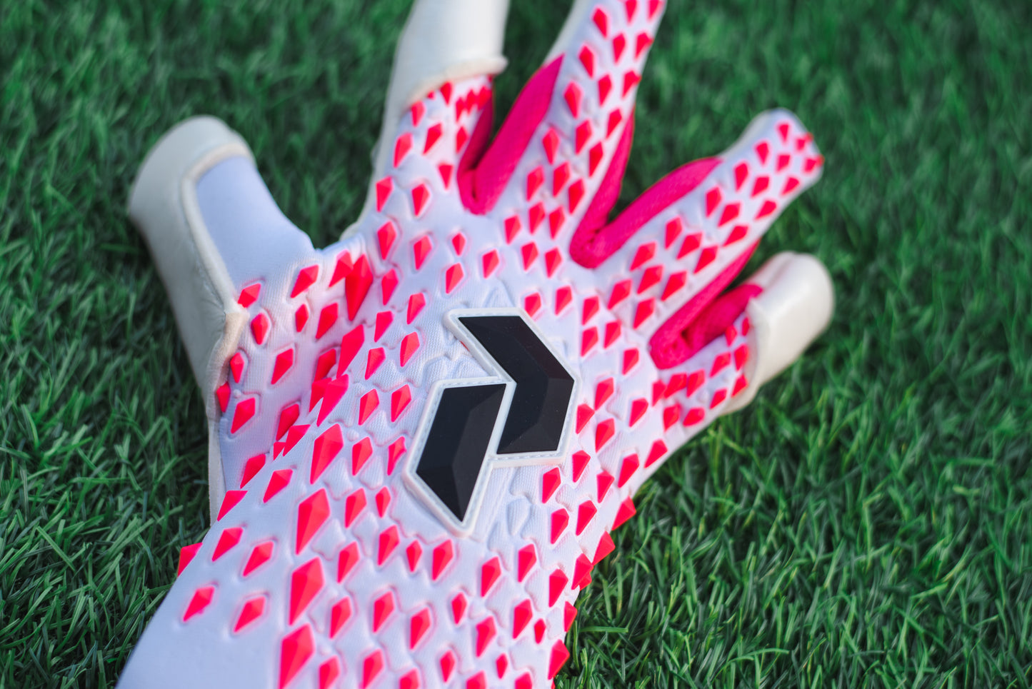 Peak Performance Raptor Goalkeeper Gloves