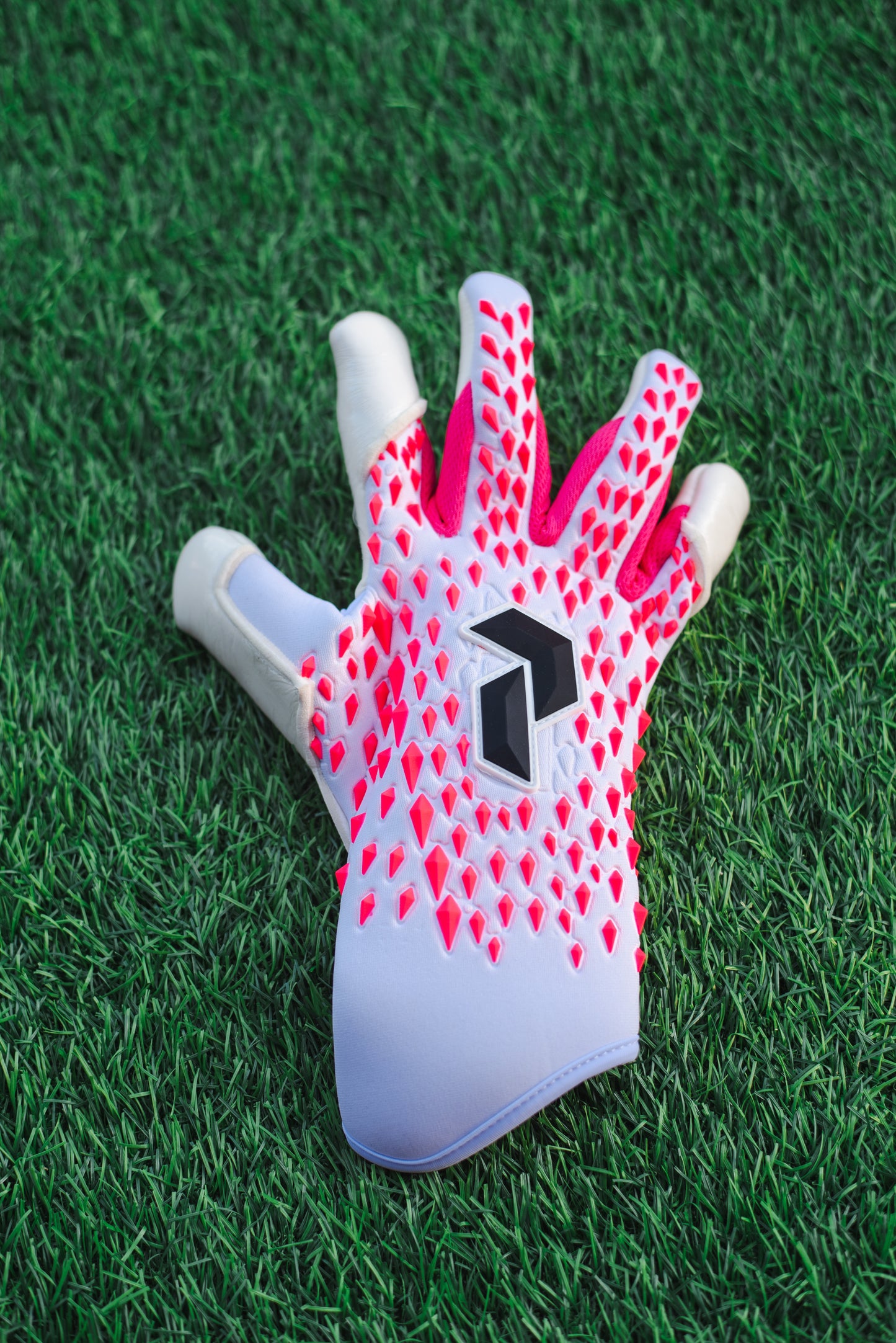 Peak Performance Raptor Goalkeeper Gloves